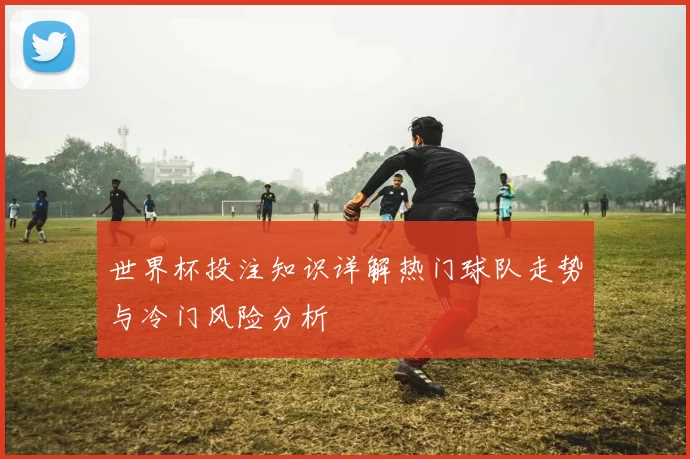 世界杯投注知识详解热门球队走势与冷门风险分析