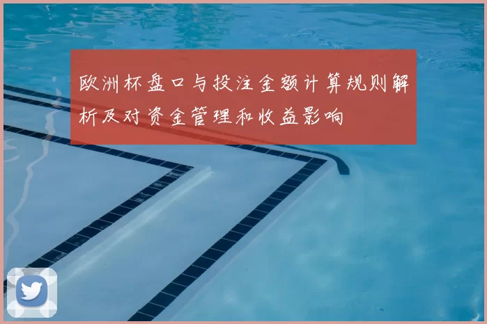 欧洲杯盘口与投注金额计算规则解析及对资金管理和收益影响